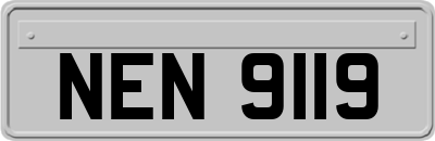 NEN9119