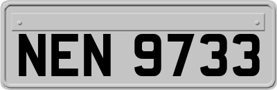 NEN9733