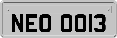 NEO0013