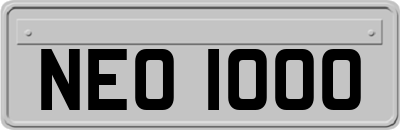 NEO1000