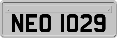 NEO1029