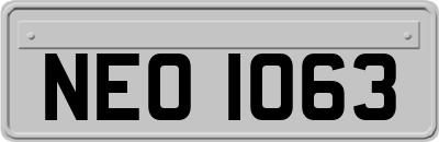 NEO1063