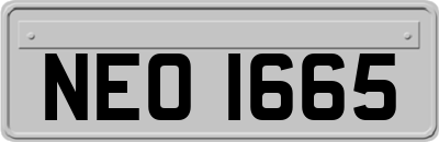 NEO1665