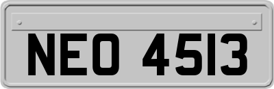 NEO4513