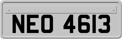 NEO4613