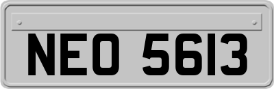 NEO5613