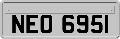 NEO6951