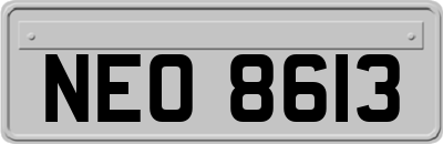 NEO8613