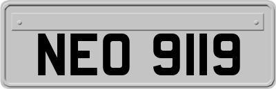 NEO9119