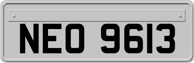 NEO9613