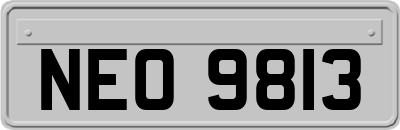 NEO9813