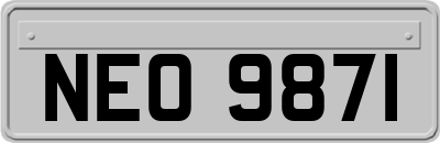 NEO9871