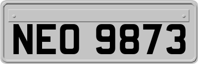 NEO9873