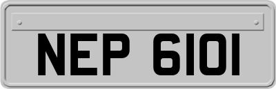 NEP6101