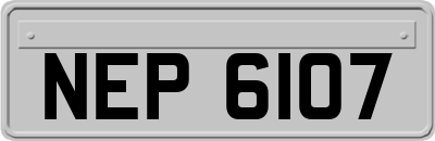 NEP6107