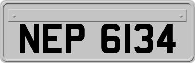 NEP6134