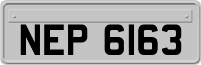 NEP6163