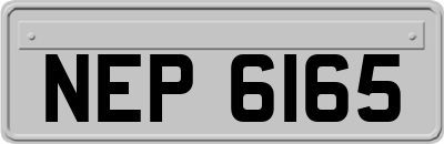 NEP6165