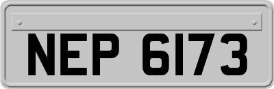 NEP6173