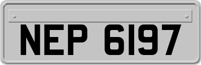 NEP6197