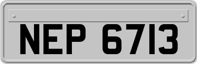 NEP6713