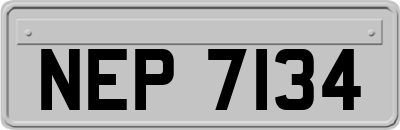 NEP7134