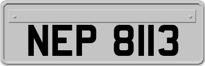 NEP8113