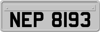 NEP8193