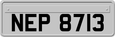 NEP8713