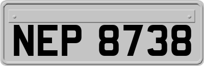 NEP8738