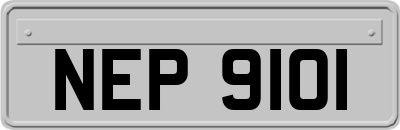 NEP9101