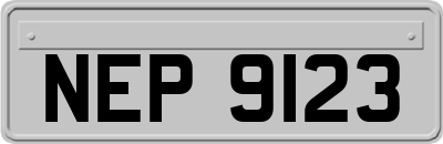 NEP9123