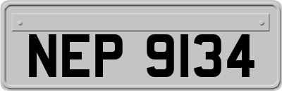 NEP9134