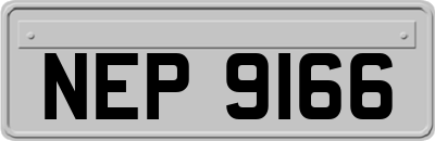 NEP9166