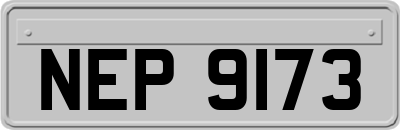 NEP9173