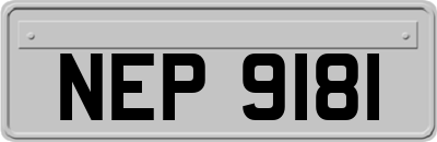 NEP9181