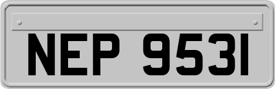 NEP9531