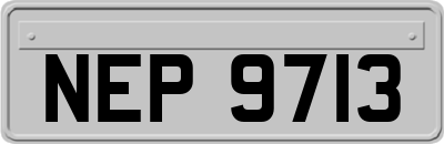 NEP9713