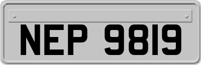 NEP9819