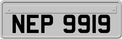 NEP9919