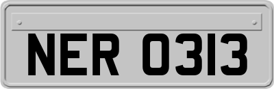 NER0313