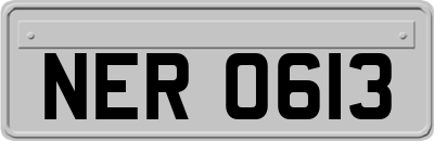 NER0613