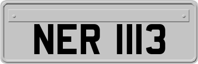 NER1113