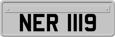 NER1119