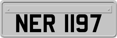 NER1197