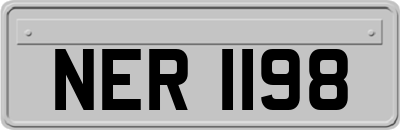 NER1198