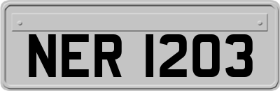 NER1203