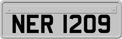 NER1209