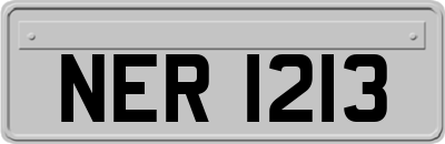 NER1213