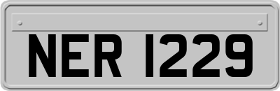 NER1229